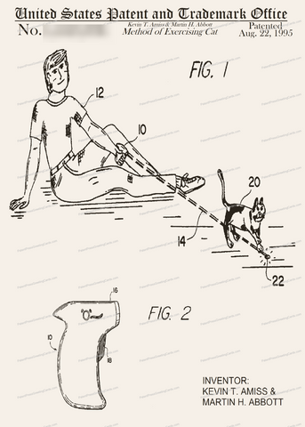 Card-060: Method of Exercising Cat