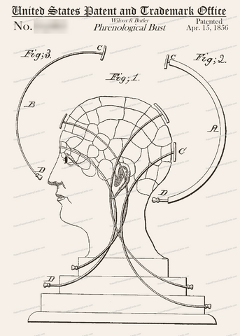 CARD-281: Phrenological Bust - Patent Press™