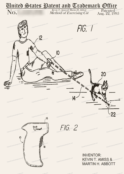 CARD-201: Method of Exercising Cat - Patent Press™