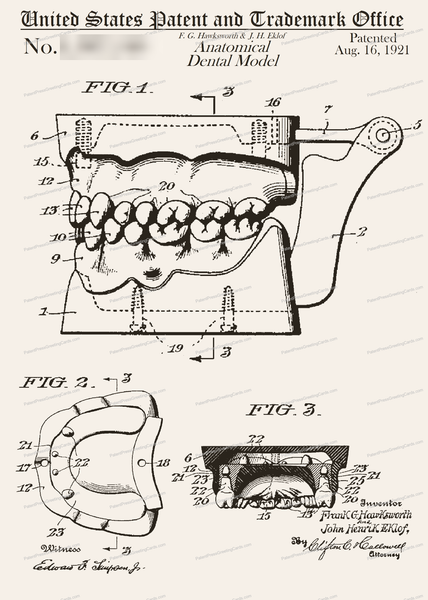 CARD-252: Dental Model - Patent Press™